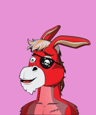 Donkey 3529